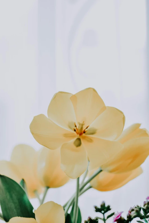 a bouquet of yellow flowers on a table