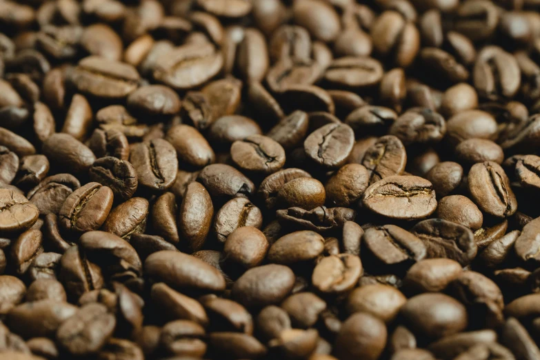 coffee beans being roasted in closeup for a pograph