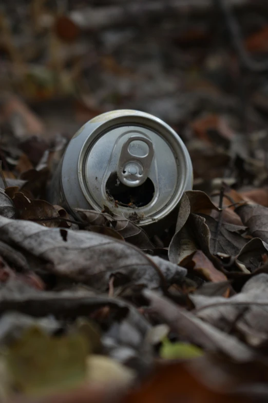 a can sitting in the leaves on the ground