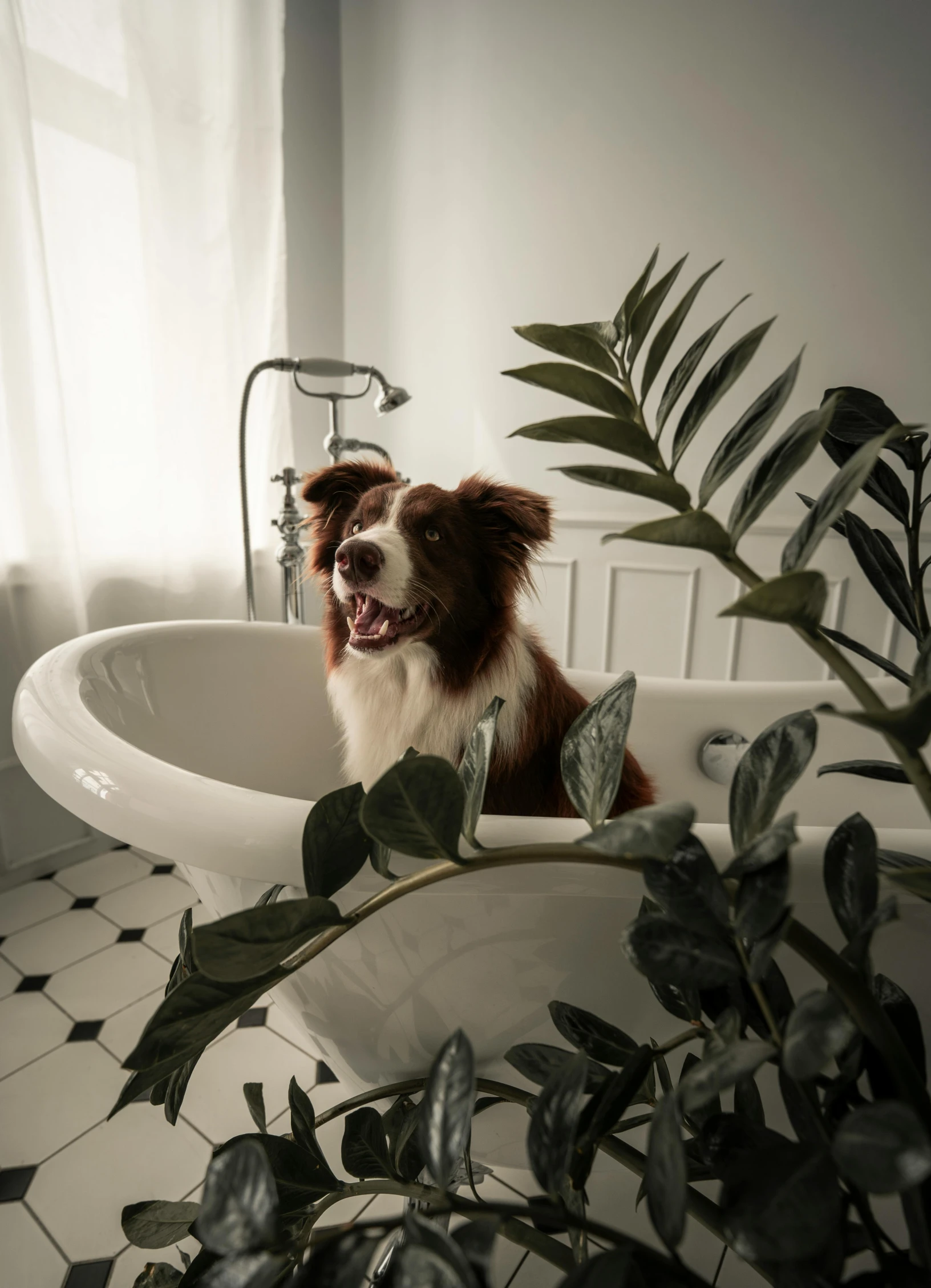 a dog sits in the bathtub, next to some plants