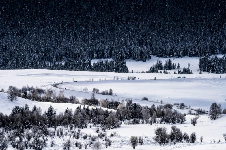 a snowy, landscape scene with trees and hills