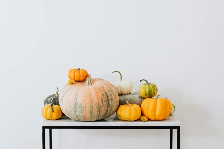 an assortment of pumpkins and squash arranged on a white shelf