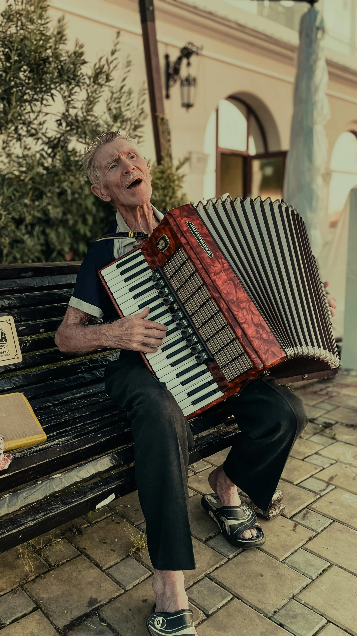 an old man sitting on a bench with his hand resting on an accordion