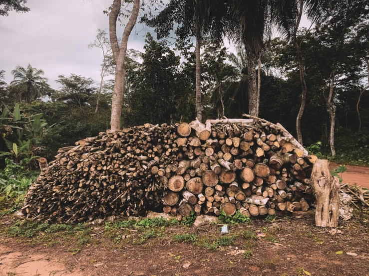 logs stacked on top of each other in a forest