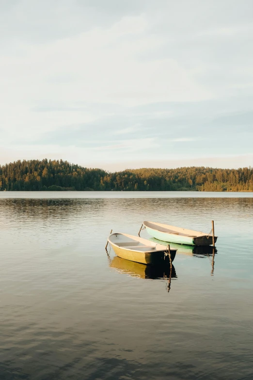 two rowboats anchored in shallow water next to a wooded area