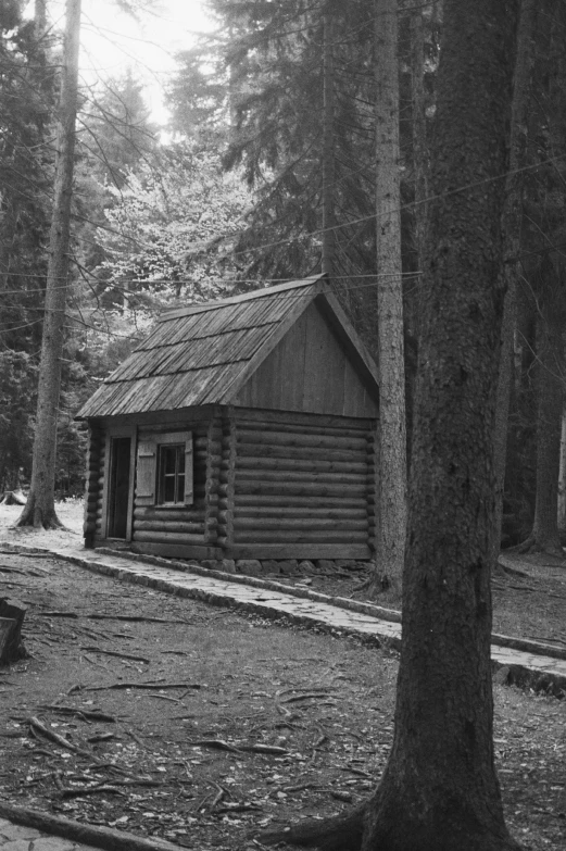 small cabin in the woods near a road