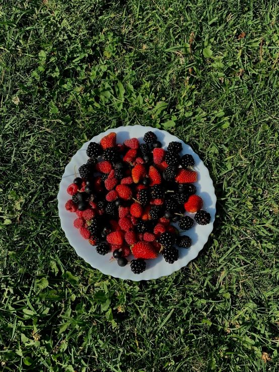 berries and strawberries on a plate are sitting on the grass