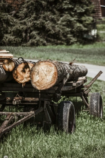 logs of wood are attached to a wagon in grass