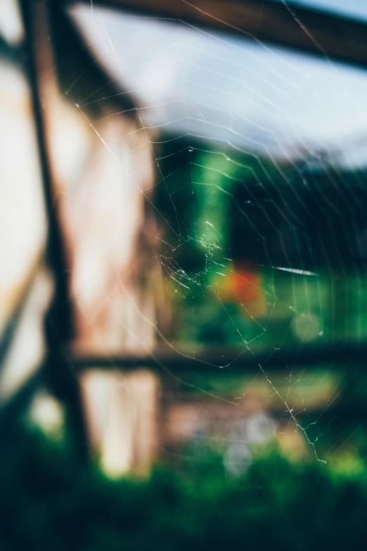 blurry image of spider web in front of a building