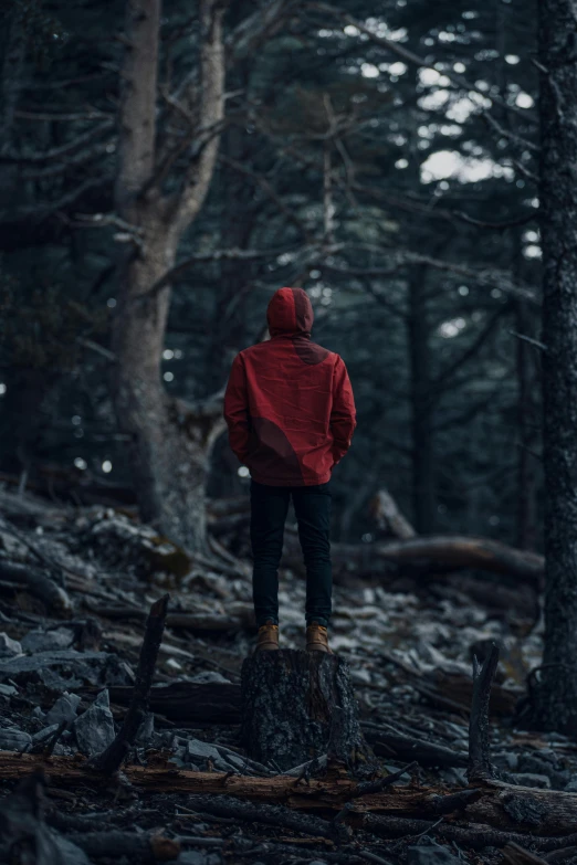 a man in a red jacket standing in the woods