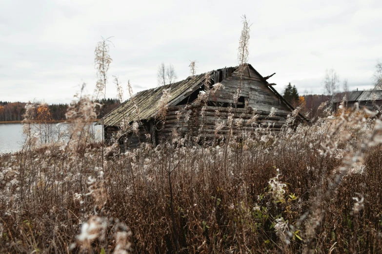 a house that has fallen into disrepair sitting in some tall grass