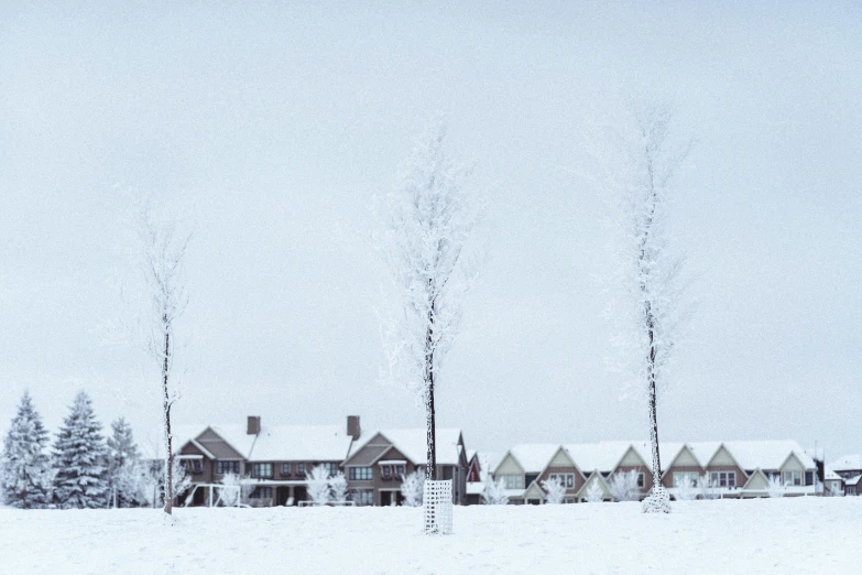 the buildings are covered in snow and surrounded by telephone poles