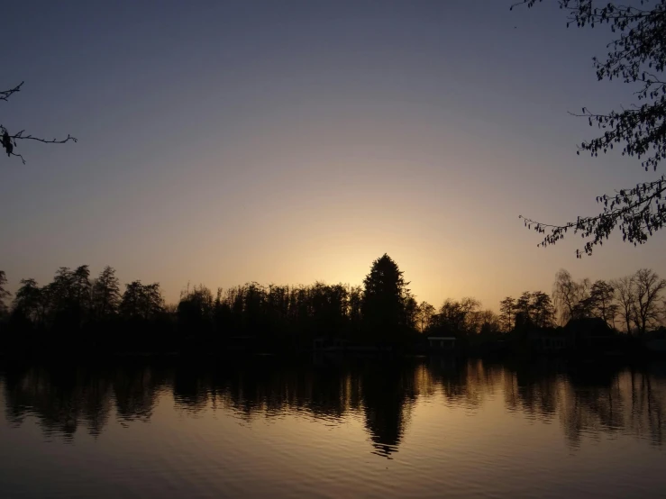 a body of water surrounded by trees and grass