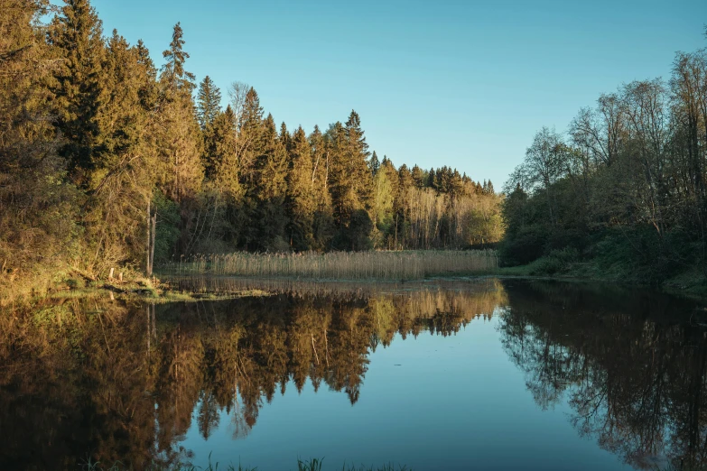 the sun is shining on a small lake near some tall trees