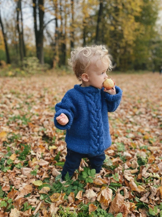 a little girl walking in the leaves while holding a fruit