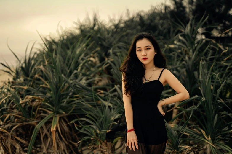 a woman in black wearing short pants, is standing near large plants