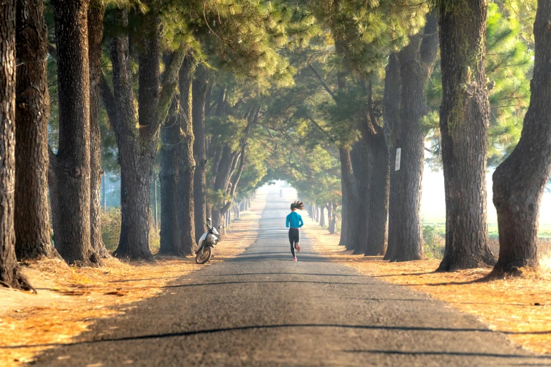 a woman walking her dog down a dirt road