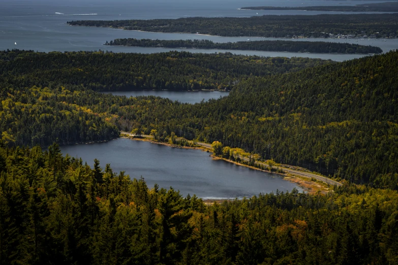 an aerial view of a lake and forested area