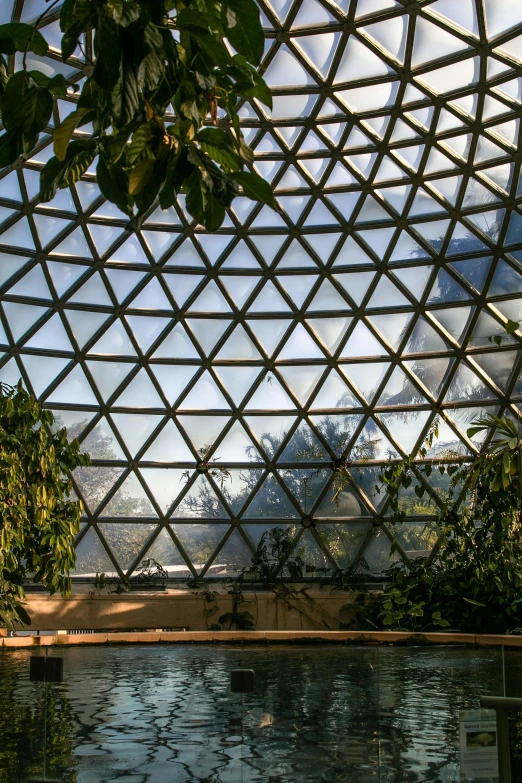 inside an enclosure showing a clear pool and trees