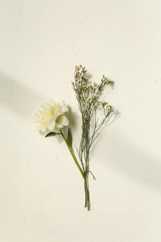 flowers sit on a white surface in the center of the image