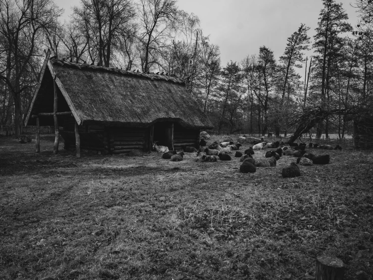 black and white pograph of chickens in front of a log cabin