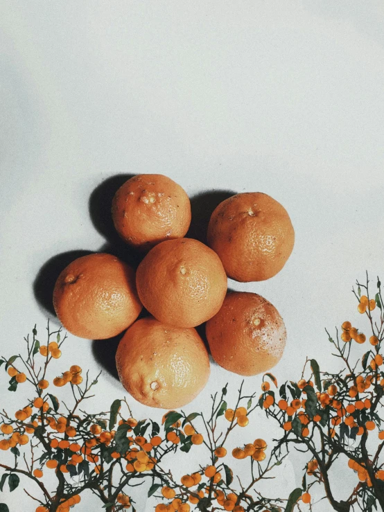 this is an image of a bouquet of oranges