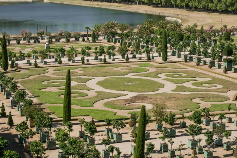 a picture of an outdoor area with a very large green garden