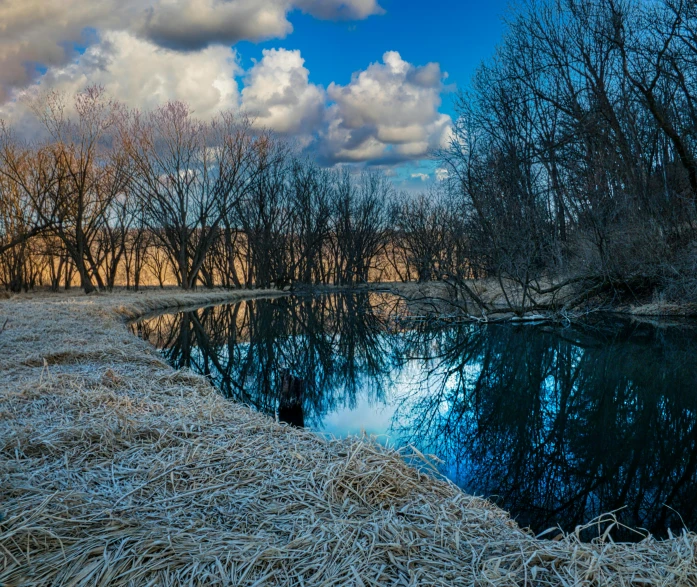 a small river runs between grassy land and trees