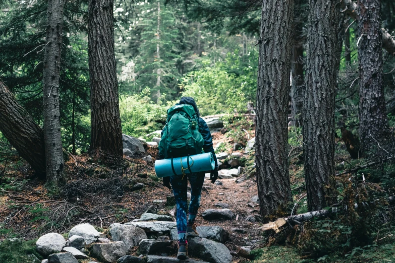 a person walking up a trail with a backpack on