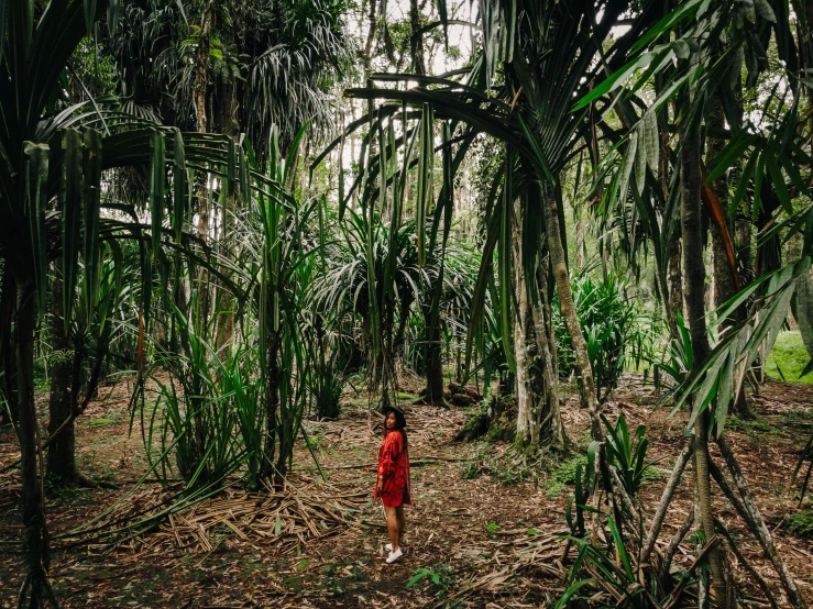 woman in red jacket standing in jungle area with palm trees