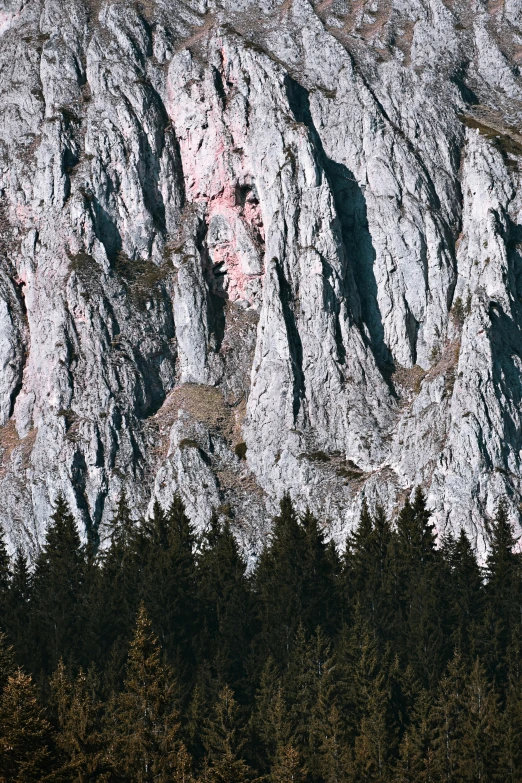 the large mountain range is made of towering rocks and trees