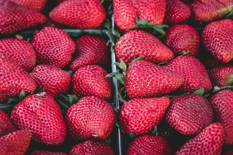 group of large baskets of fresh strawberries ready to eat