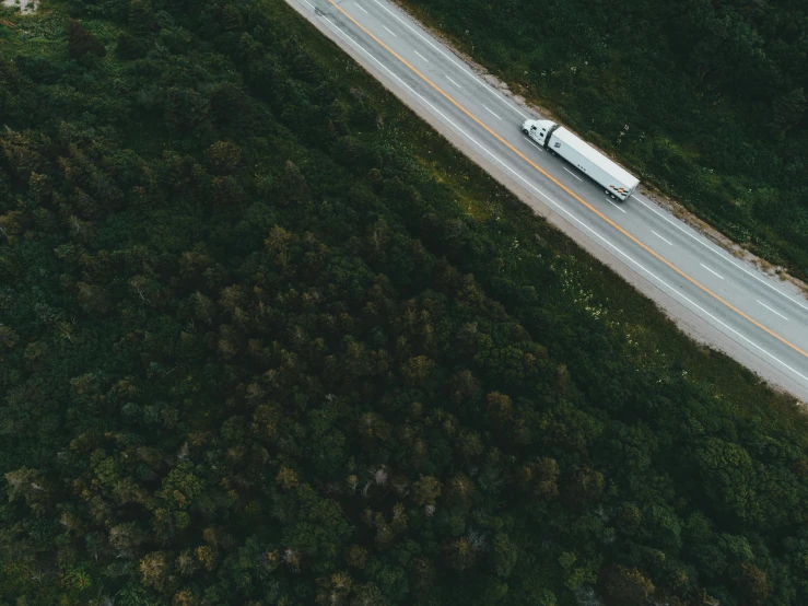 a car traveling down the road in the forest