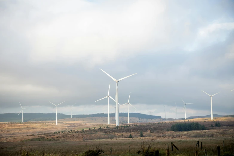 many white windmills are standing in a field