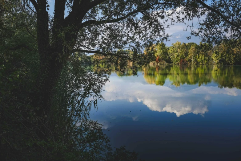 a body of water next to a forest covered hillside