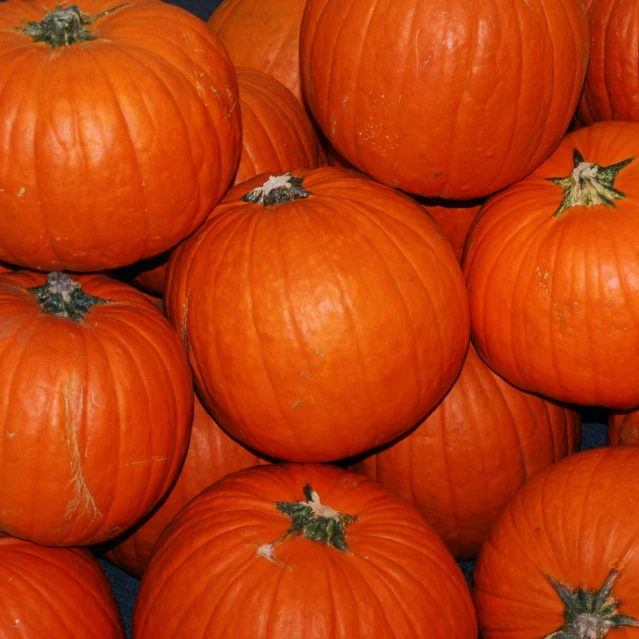 a group of orange pumpkins sit together in a bin
