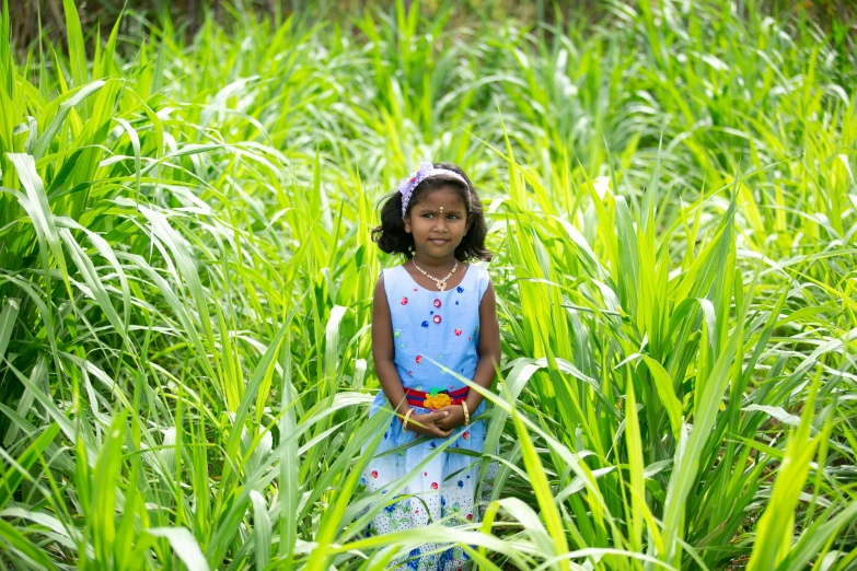 little girl in the middle of the tall grass