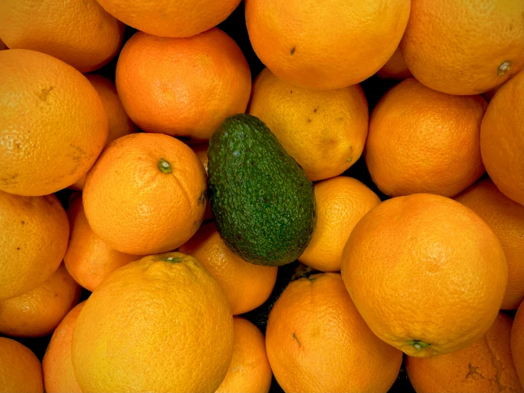 closeup s of a large pile of fresh oranges with a zucchini