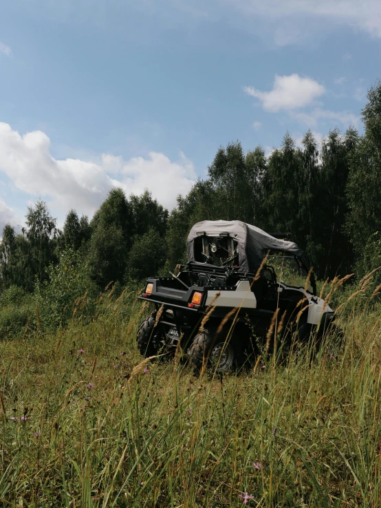 a jeep in tall grass by a wooded area