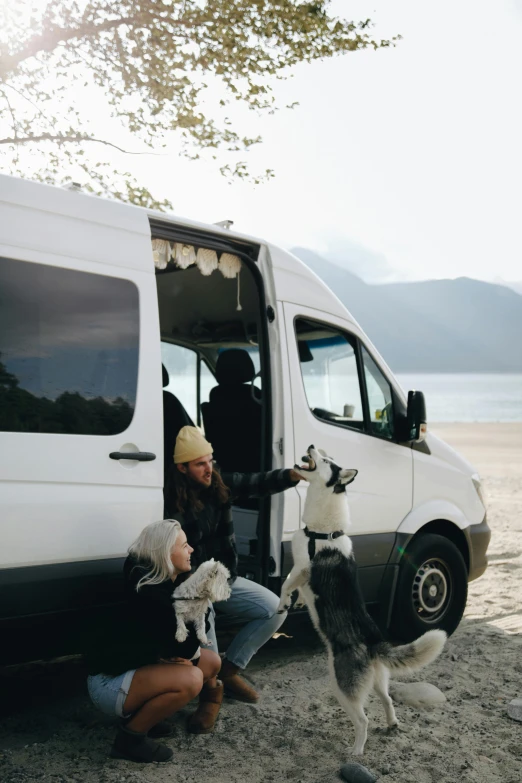 a van is parked with three dogs on the beach