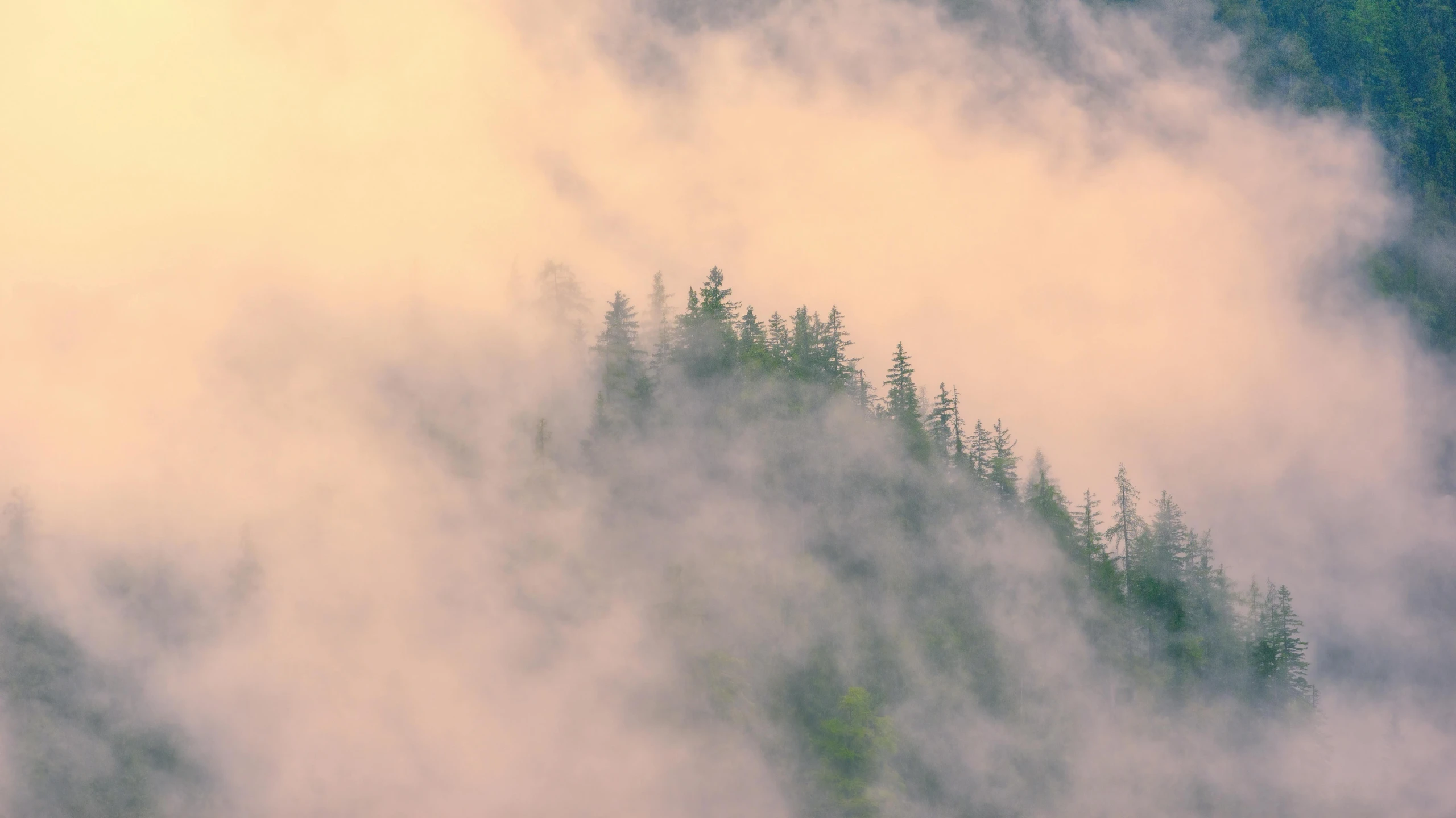 some mountains with trees on top and clouds