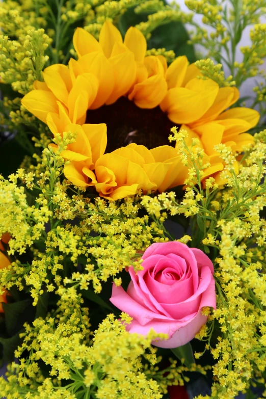 closeup of flowers in a vase in front of a white wall