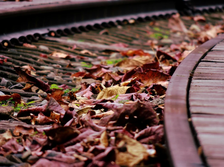 leaves on the ground and a wooden bench with one bench in the background