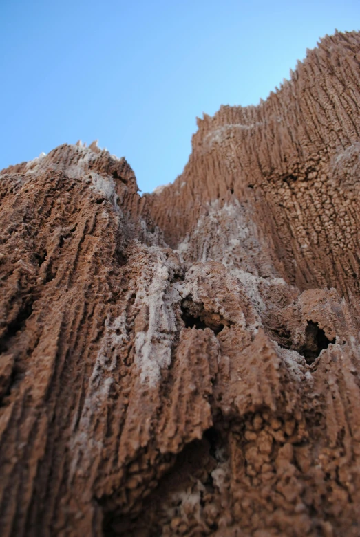 the textured rocks are clearly visible against the blue sky