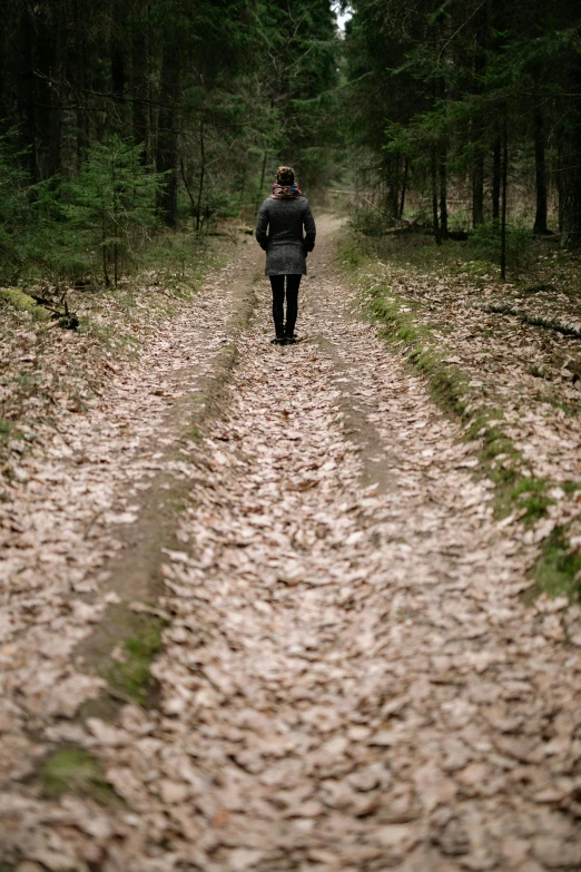 man in the forest walking alone, alone