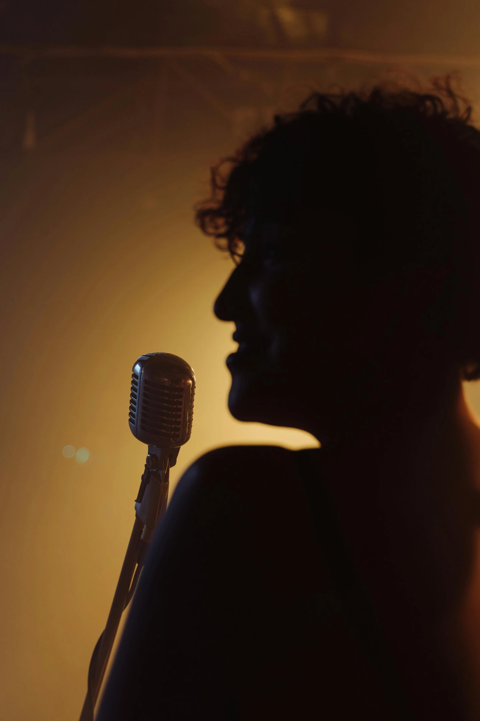 a woman holding a microphone in front of a mic