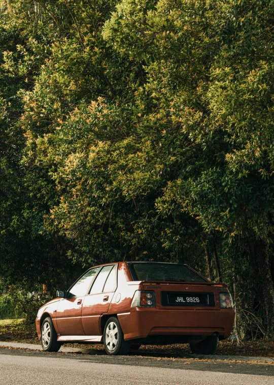 a small car parked next to a stop sign near a forest