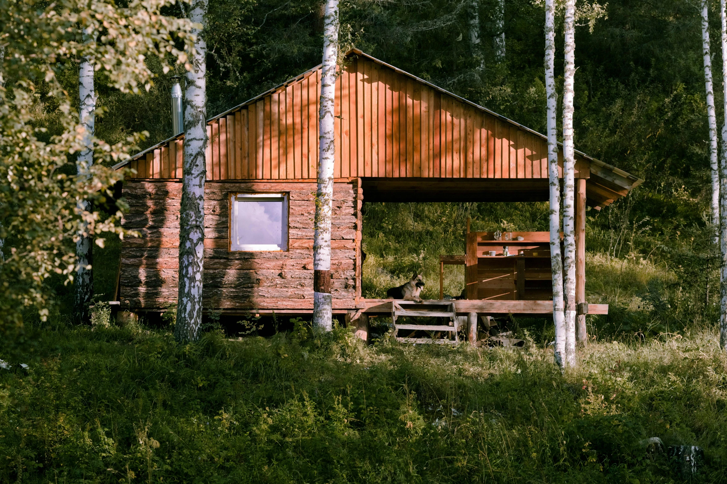 a cabin in the woods has a log on it's sides