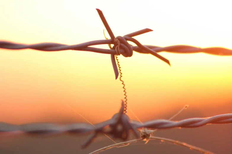the view of an iron wire fence with some small barbed wires sticking out of it