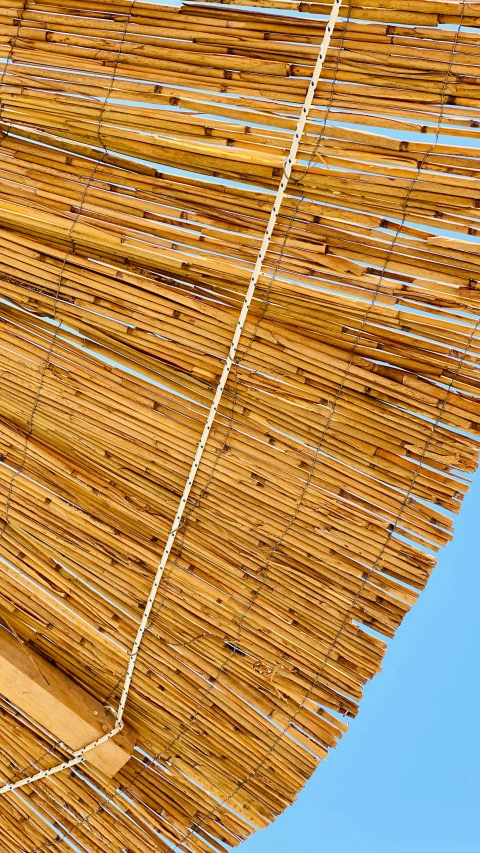 a very pretty bamboo hut with some wire